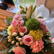 Photo submitted by Melinda