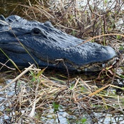 Photo submitted by Christopher