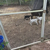 Photo submitted by Michelle