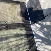 Photo submitted by India