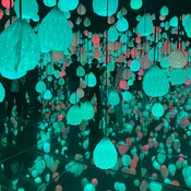 Photo submitted by Lisa