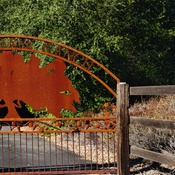 Photo submitted by Teresa