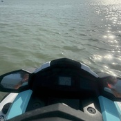 Photo submitted by T