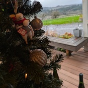 Photo submitted by linda