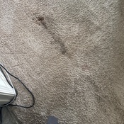 Photo submitted by Cece