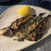 Photo submitted by betty