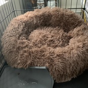 Photo submitted by Gabriela