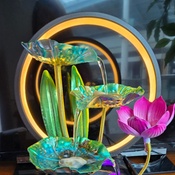 Photo submitted by Melissa