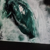 Photo submitted by Cam