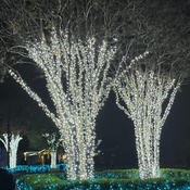 Photo submitted by Meixing