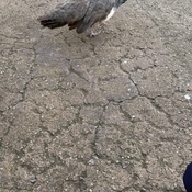 Photo submitted by melvina