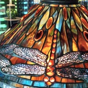 Photo submitted by kimberly