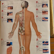 Photo submitted by Donna