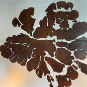 Photo submitted by Rick