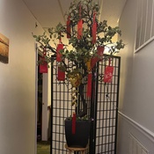 Photo submitted by lynsi