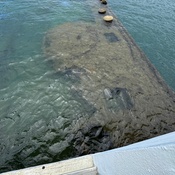 Photo submitted by Mary