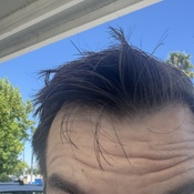 Photo submitted by mahsa