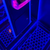 Photo submitted by Phung