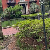 Photo submitted by Jo