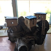 Photo submitted by Charity