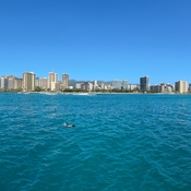 Photo submitted by Amy