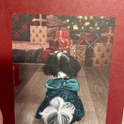 Photo submitted by Gina