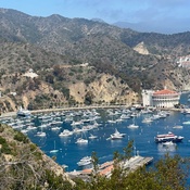 Photo submitted by Gail