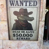 Photo submitted by Nora