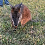 Photo submitted by Michelle