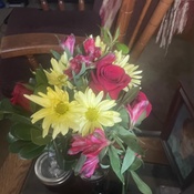 Photo submitted by Cindi