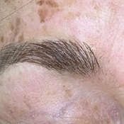 Photo submitted by Ronna