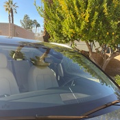 Photo submitted by Paul