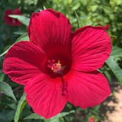 Photo submitted by Joe