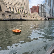 Photo submitted by Sarah