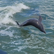 Photo submitted by Leslie