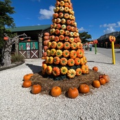 Photo submitted by Christine