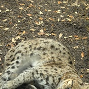 Photo submitted by Jaressia