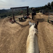 Photo submitted by Kristina