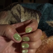 Photo submitted by Hello