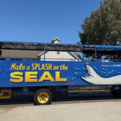 Photo submitted by Norra