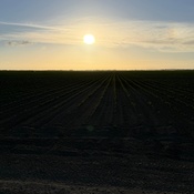 Photo submitted by Marc