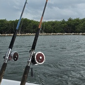 Photo submitted by CharRhonda