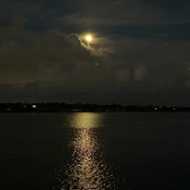 Photo submitted by tracey