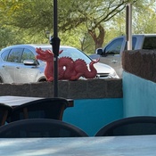 Photo submitted by Melissa