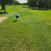 Photo submitted by Rich