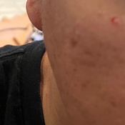 Photo submitted by AdM