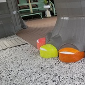 Photo submitted by Pauline