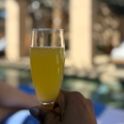 Photo submitted by Guest