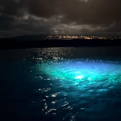 Photo submitted by Ziyu