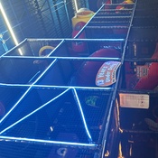 Photo submitted by Guest